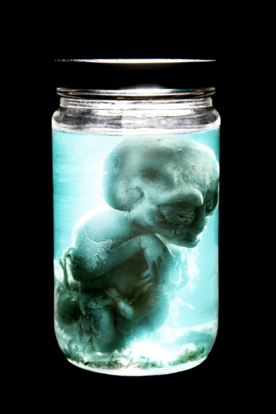 Photograph Mark Taylor Alien In A Jar 01 on One Eyeland
